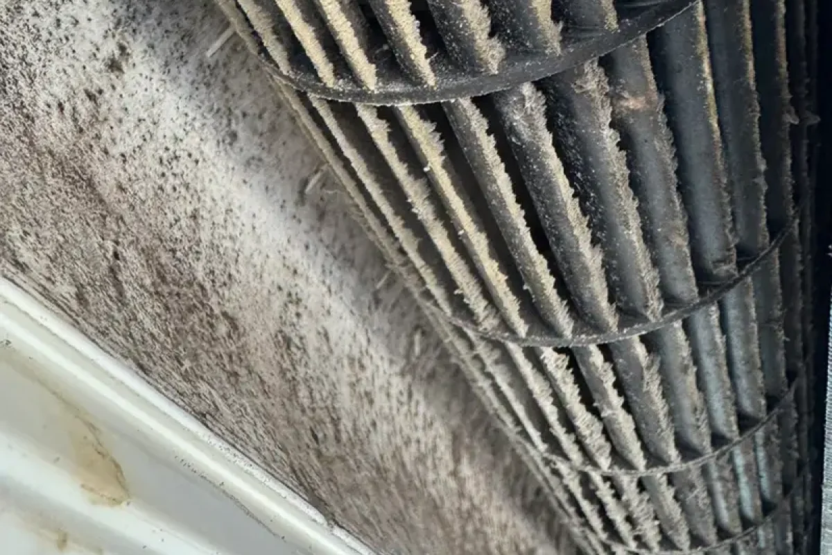 諾萊夫清潔-新竹洗冷氣-新竹冷氣清洗-新竹冷氣保養-新竹洗洗衣機_portfolio_竹北 樂揚文理補習班 教室冷氣清洗_024