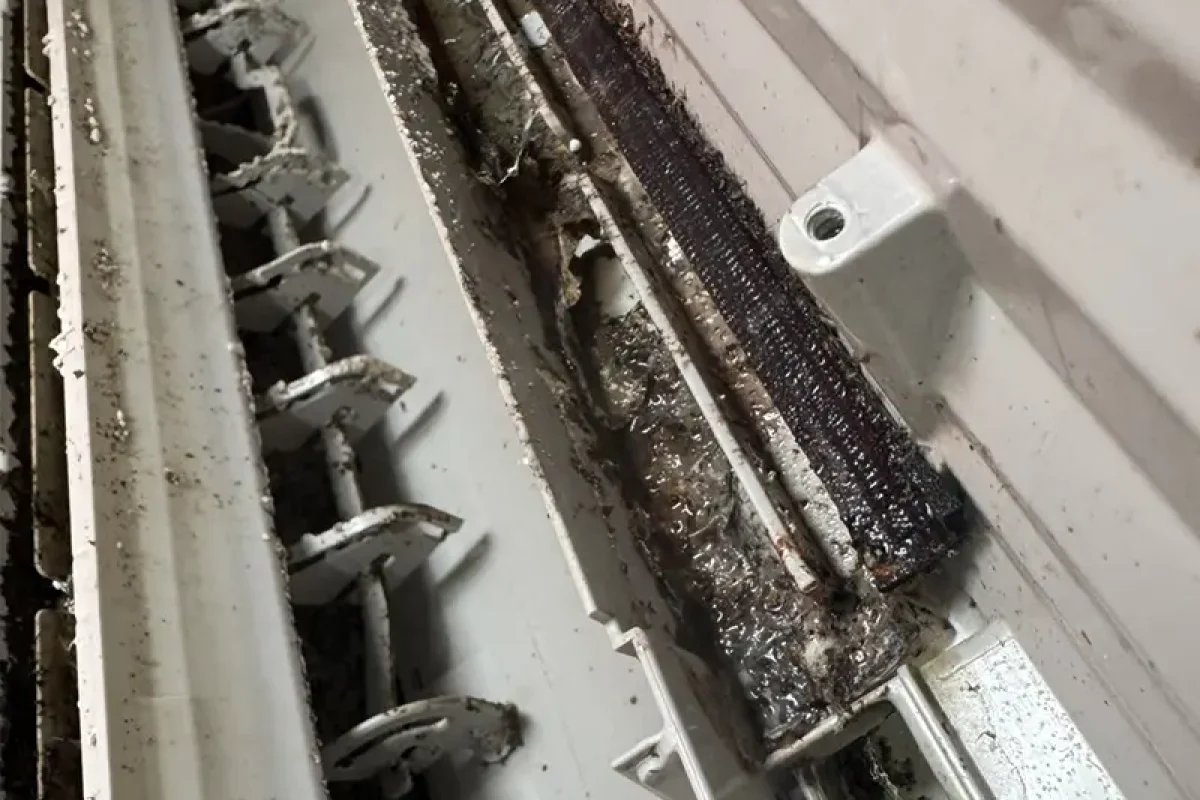 諾萊夫清潔-新竹洗冷氣-新竹冷氣清洗-新竹冷氣保養-新竹洗洗衣機_portfolio_蛻變生態甲蟲館-冷氣清洗_03